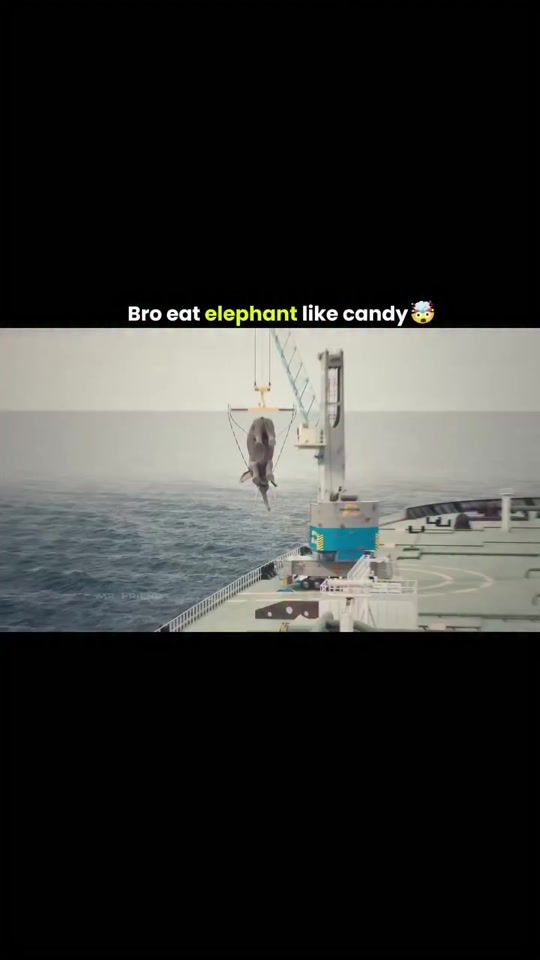 TikTok video thumbnail by explainitonce