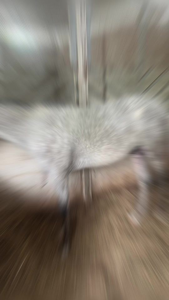 TikTok video thumbnail by _moi73