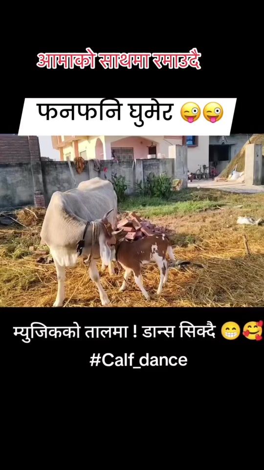 TikTok video thumbnail by ram_nath_2