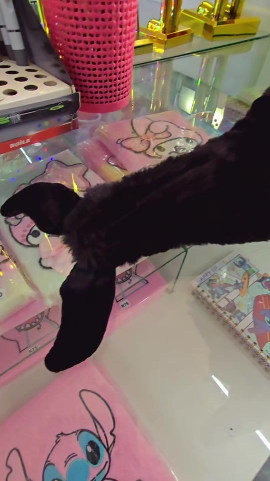 TikTok video thumbnail by hashtagmystore
