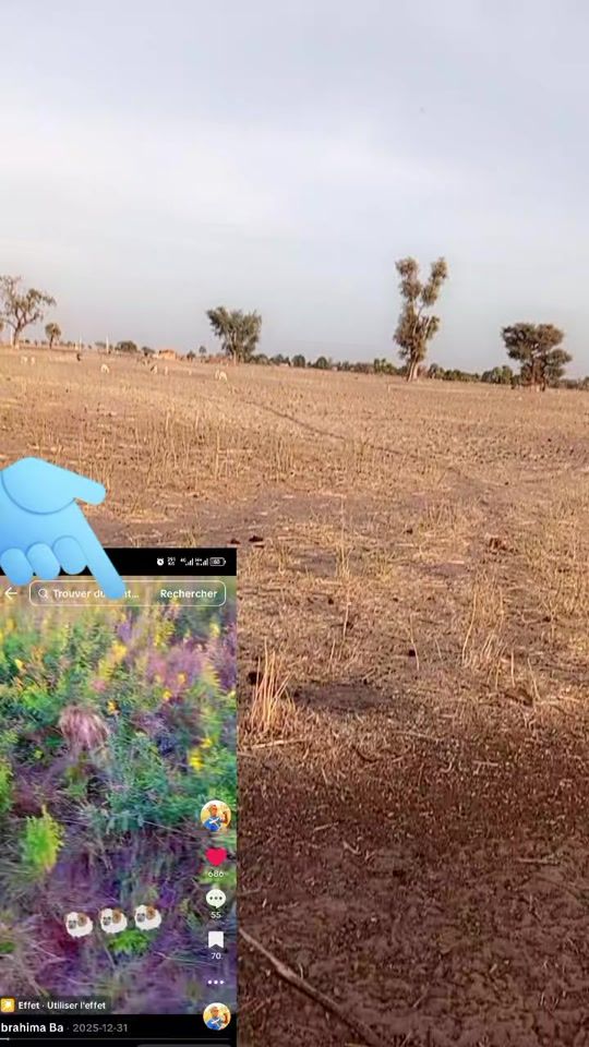 TikTok video thumbnail by lbrahima.ba0