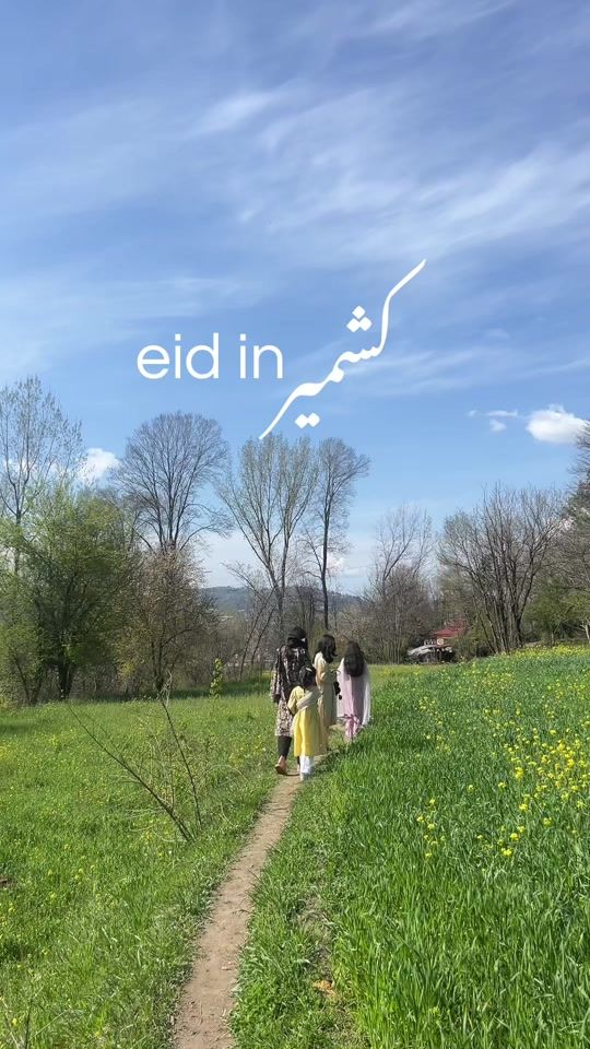 TikTok video thumbnail by z4hrh1
