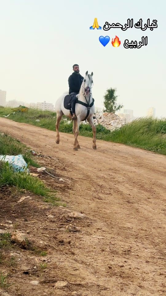 TikTok video thumbnail by yazan_kishe