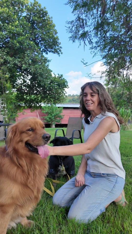 TikTok video thumbnail by happy.pets.dili