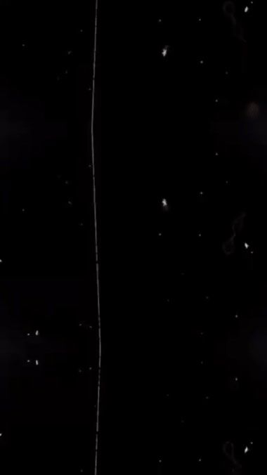 TikTok video thumbnail by saddams243