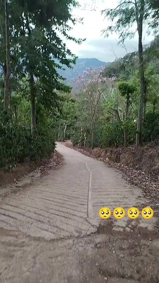 TikTok video thumbnail by angelaperez63