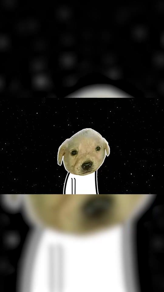 TikTok video thumbnail by ldelinton