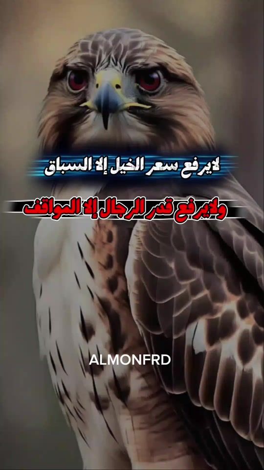 TikTok video thumbnail by fi_249_925