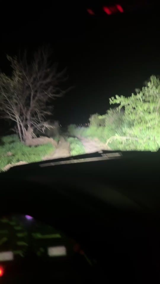 TikTok video thumbnail by gteamazarchamp