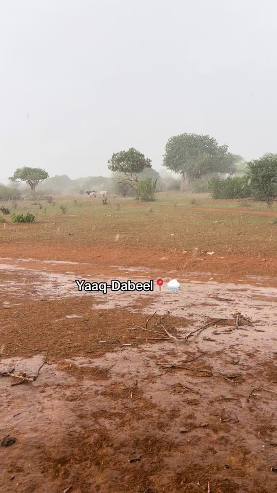 TikTok video thumbnail by kinganas202