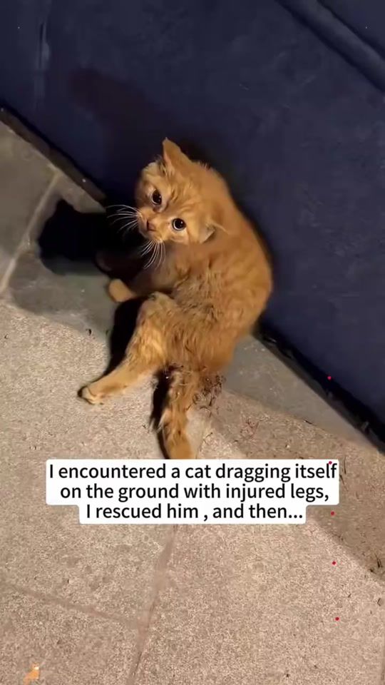 TikTok video thumbnail by aung.chan.htet3