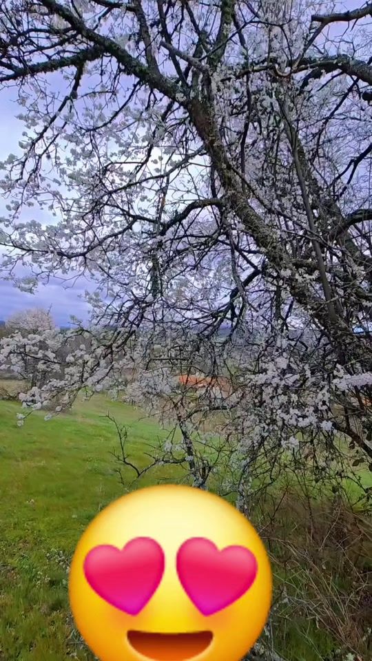 TikTok video thumbnail by _____wuk.82_____