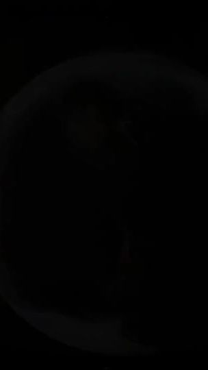 TikTok video thumbnail by rodya.owner