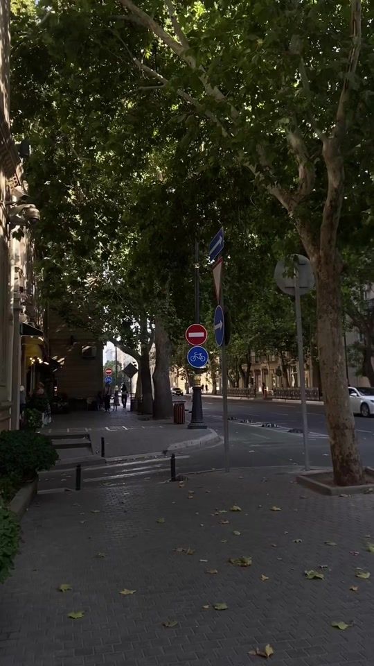 TikTok video thumbnail by delicate.ly1