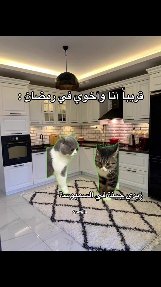 TikTok video thumbnail by swtviii80