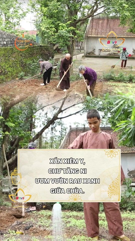 TikTok video thumbnail by anvientv