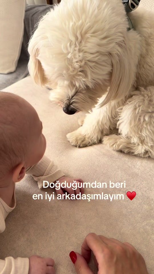 TikTok video thumbnail by kubrabakis
