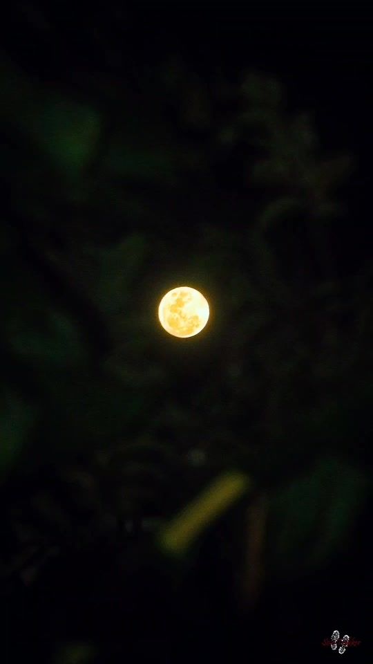 TikTok video thumbnail by sole_trekker_tt