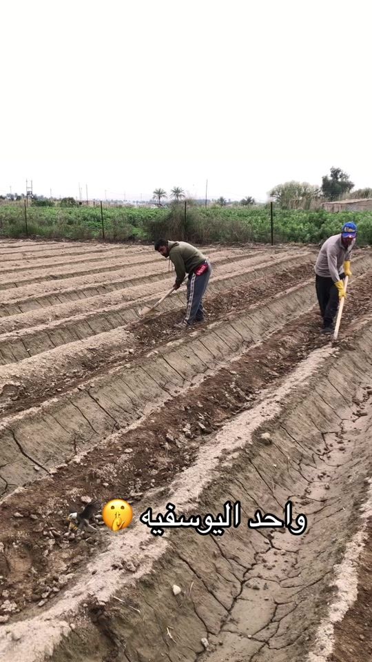 TikTok video thumbnail by aruup8