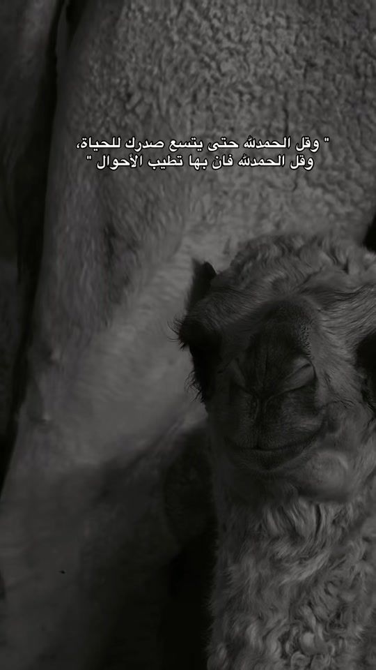 TikTok video thumbnail by b_dwi8m