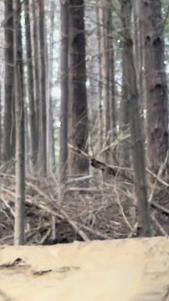 TikTok video thumbnail by seth.h0lden