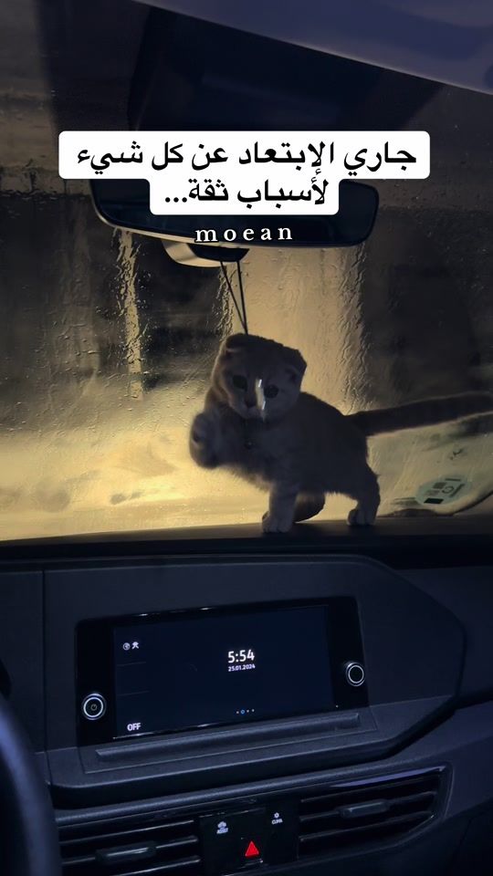 TikTok video thumbnail by moean_asi