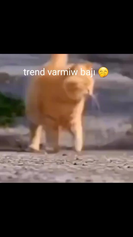 TikTok video thumbnail by irin.qiz78