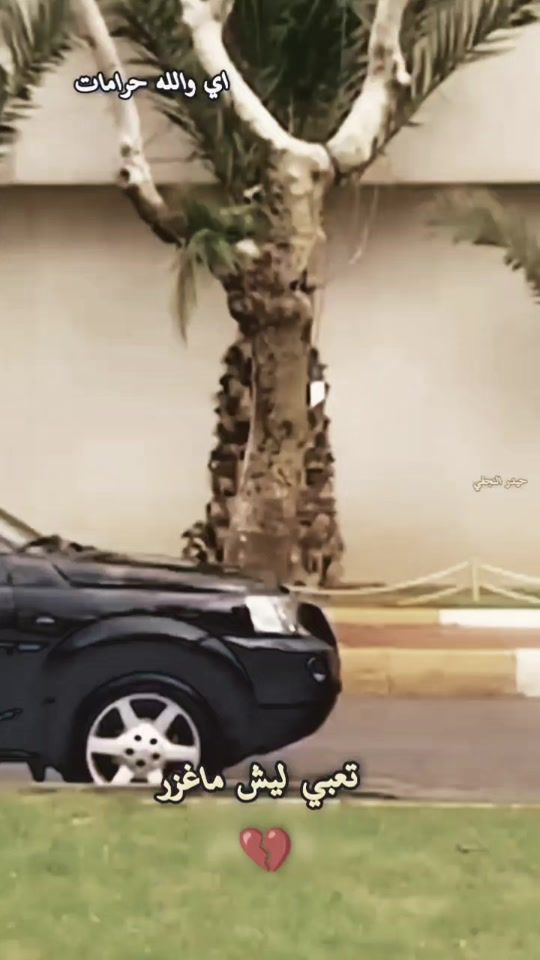 TikTok video thumbnail by 078120h