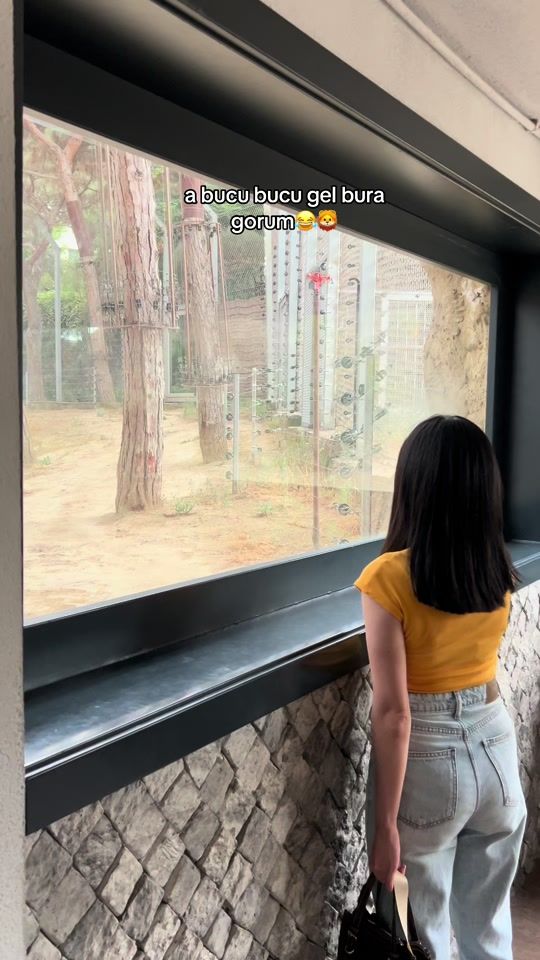TikTok video thumbnail by rfeesh1