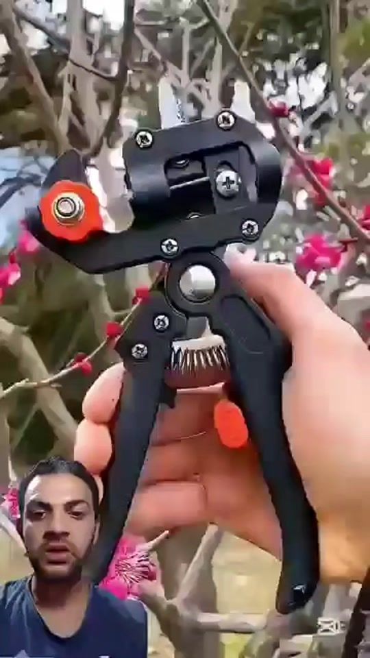 TikTok video thumbnail by smart_gardener20