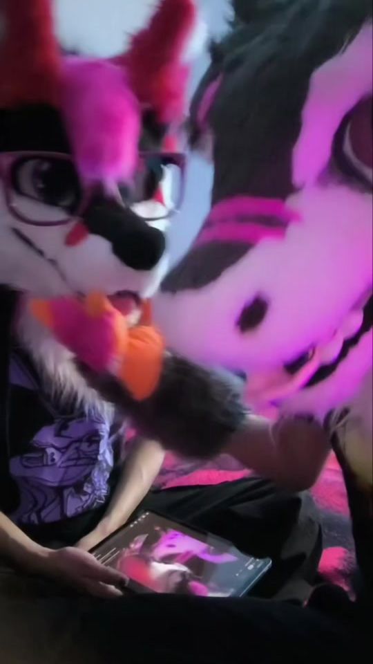TikTok video thumbnail by cash_the_fox