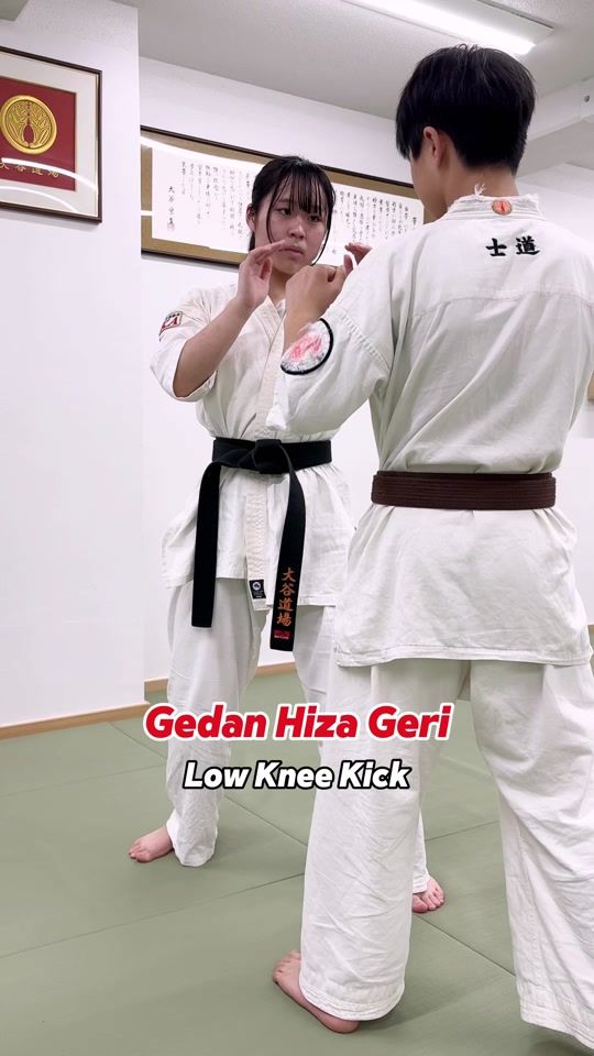 TikTok video thumbnail by otani_dojo