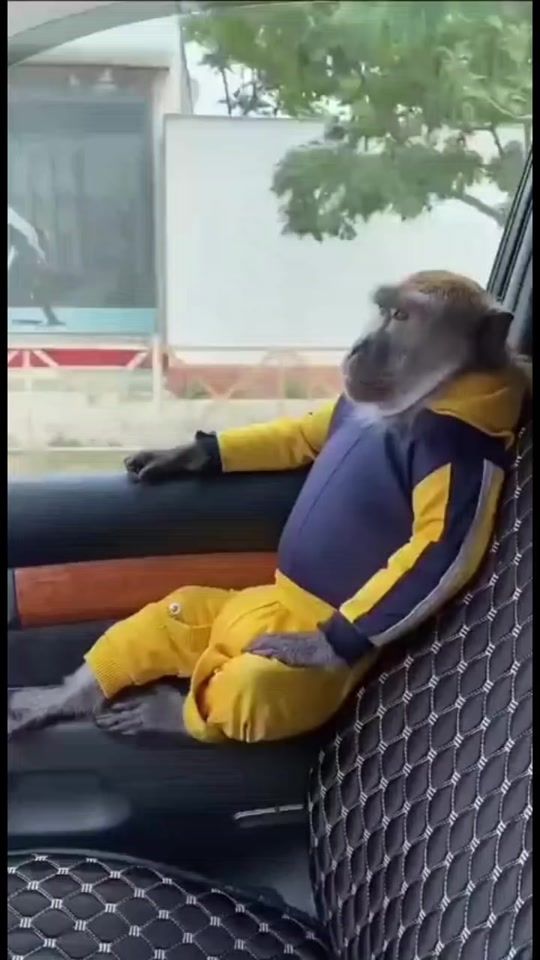 TikTok video thumbnail by user41090280033598