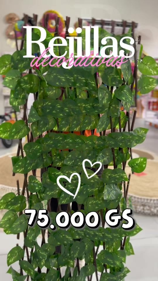 TikTok video thumbnail by fd_importaciones.py