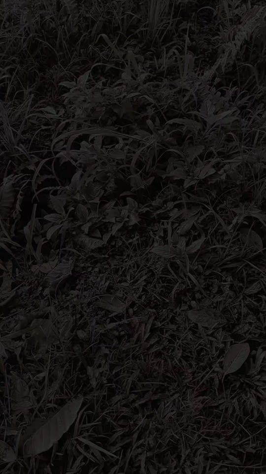 TikTok video thumbnail by admin_chama.lk
