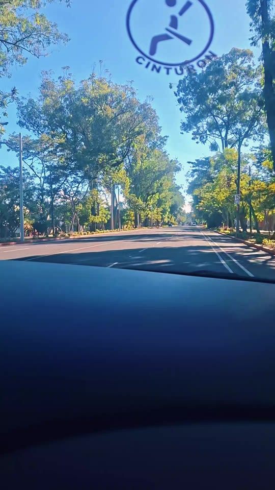TikTok video thumbnail by rosy20pa1