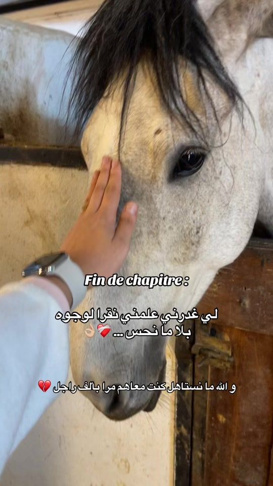 TikTok video thumbnail by lamouche8198