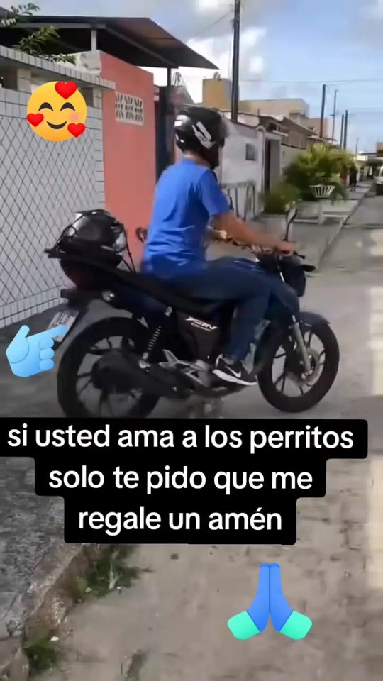 TikTok video thumbnail by luis.bierd8