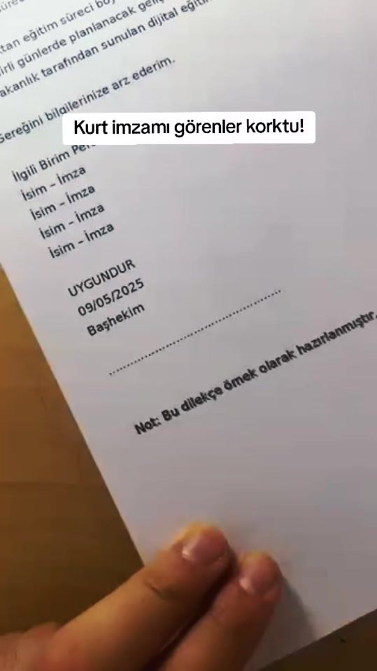 TikTok video thumbnail by imzaci
