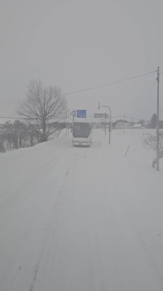 TikTok video thumbnail by blue.kite