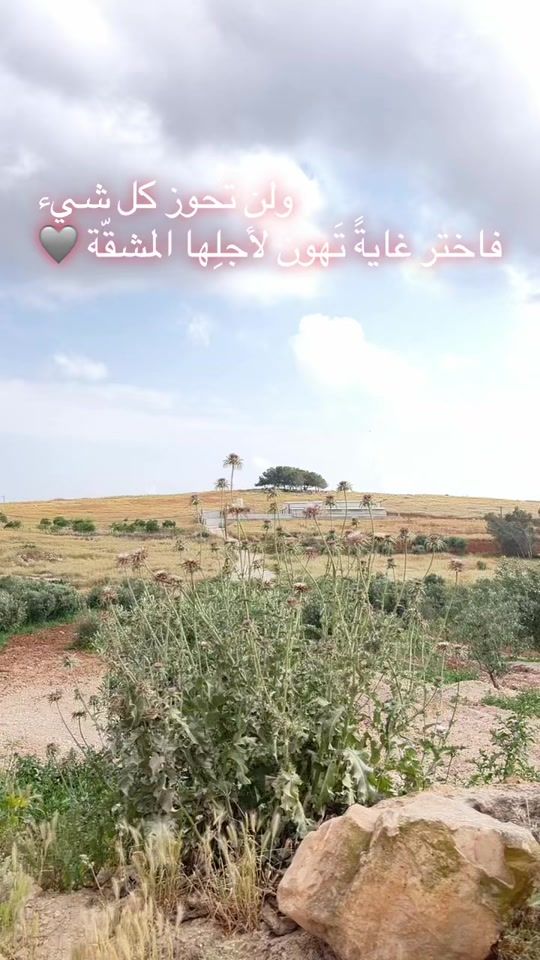 TikTok video thumbnail by hamode_11.2