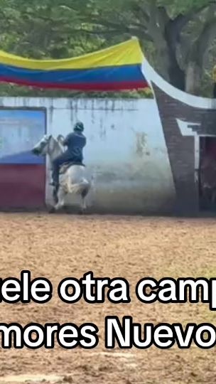 TikTok video thumbnail by cesarwilchesfonse