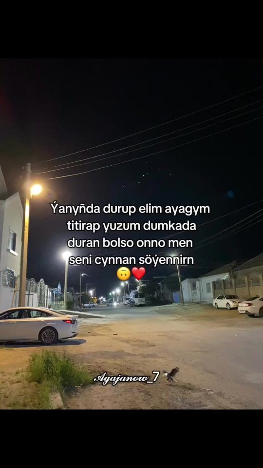 TikTok video thumbnail by bekdurdiyev0