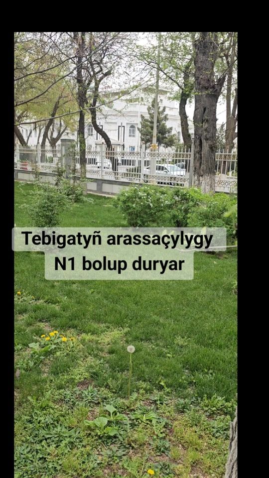TikTok video thumbnail by humay_mlm_biznes