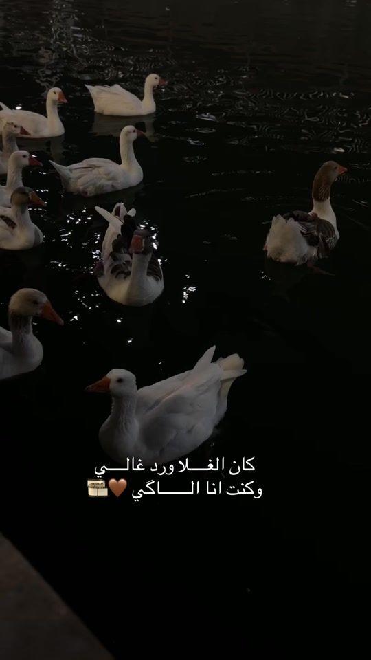 TikTok video thumbnail by tz8.t