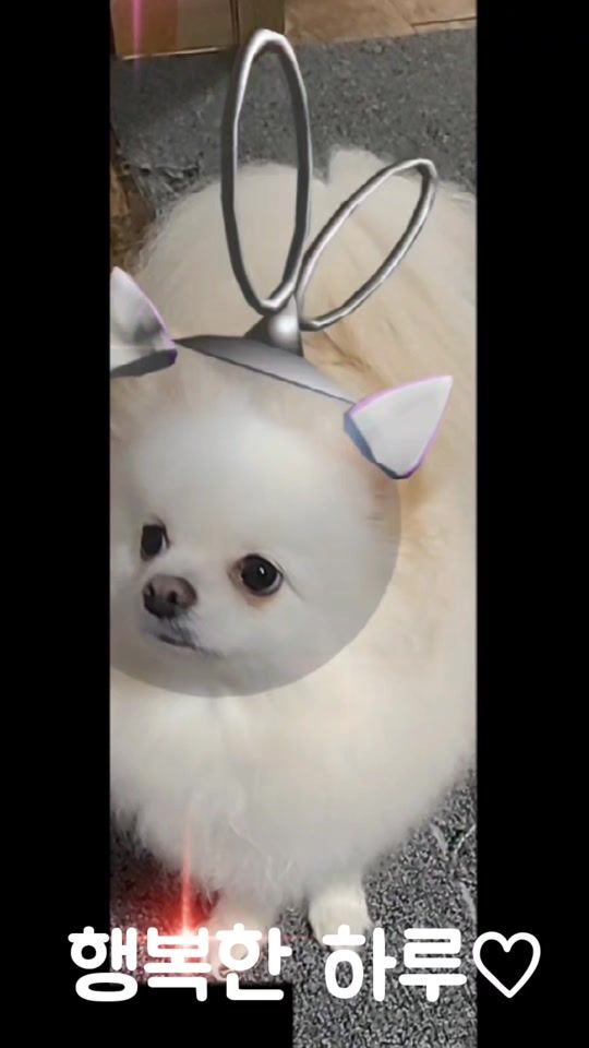 TikTok video thumbnail by user9101011333429