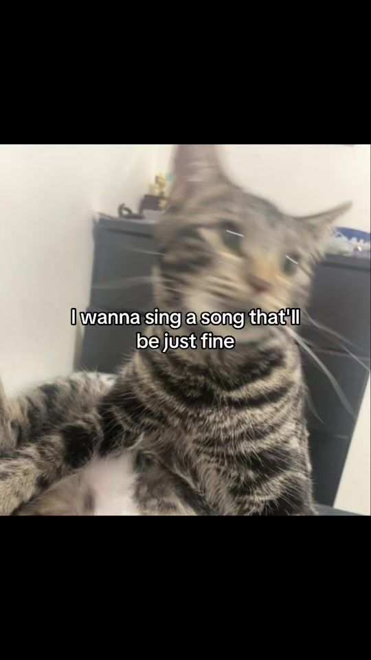 TikTok video thumbnail by lucxifvr.r