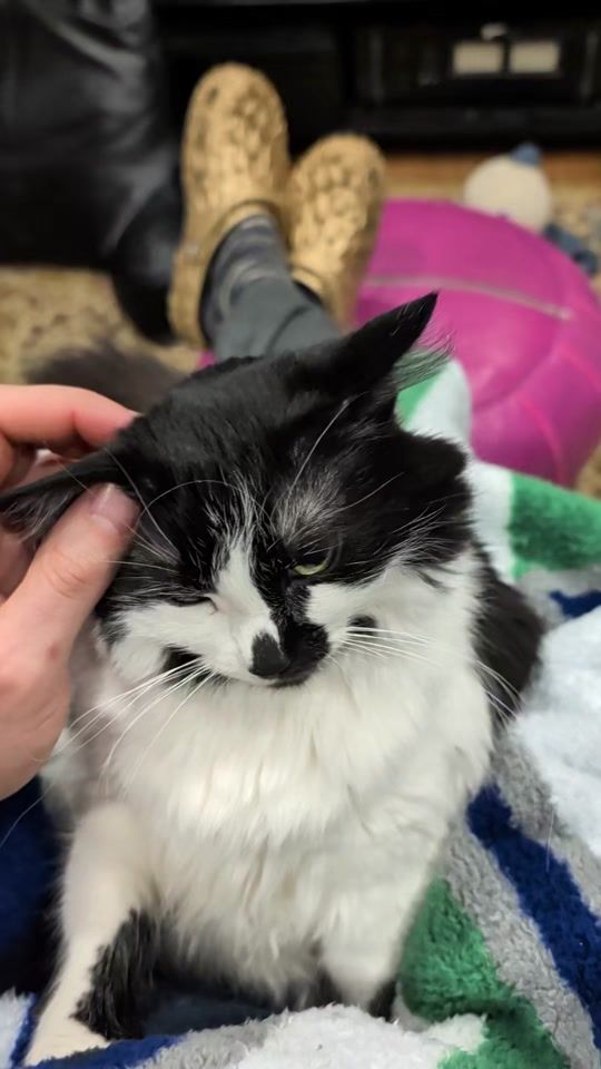 TikTok video thumbnail by michaelsheldrake