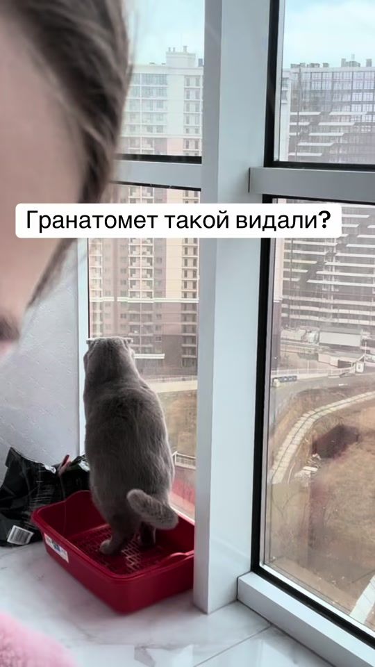 TikTok video thumbnail by viktoria_ia