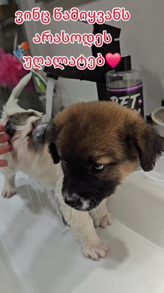 TikTok video thumbnail by liabatumelia